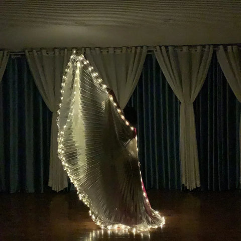 Phantom Wings LED Cape – Adult Light-Up Performance Costume