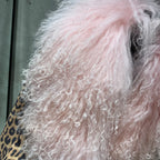 STEPPE Fur Leather Jacket
