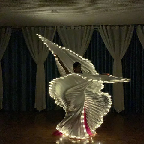 Phantom Wings LED Cape – Adult Light-Up Performance Costume