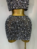 CRYSTAL Skirt Set