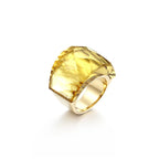 VIVID Ring